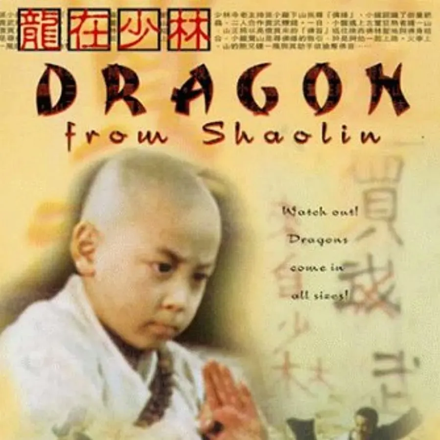 Long zai Shaolin online