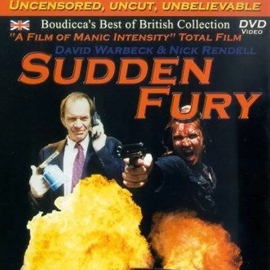Sudden Fury online