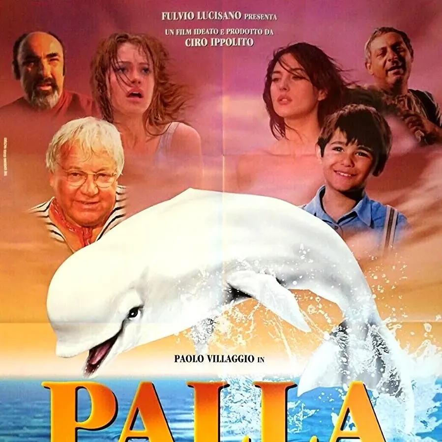 Palla di neve online