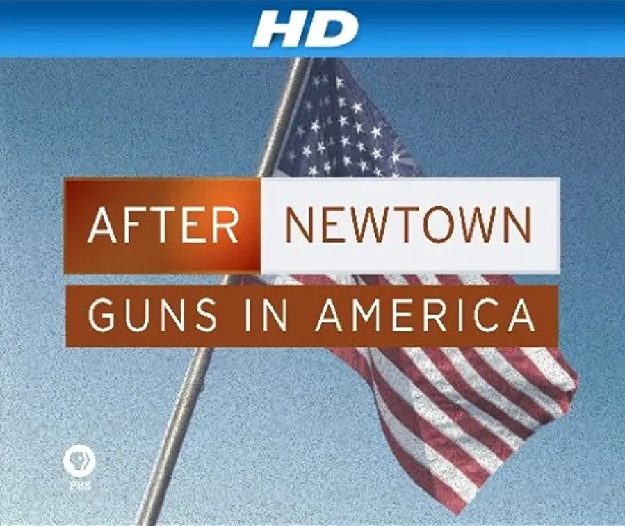 After Newtown: Guns in America online