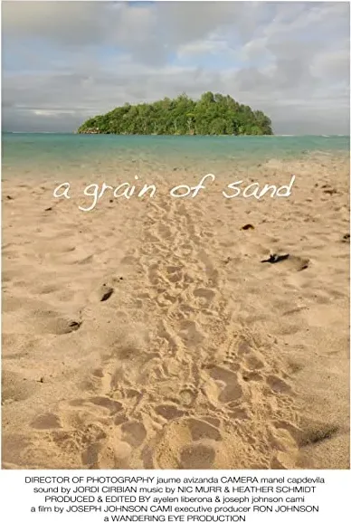 A Grain of Sand