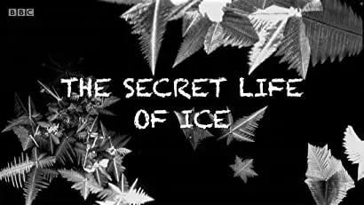 The Secret Life of Ice