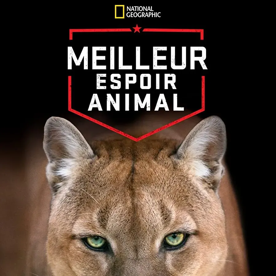 America's Greatest Animals online