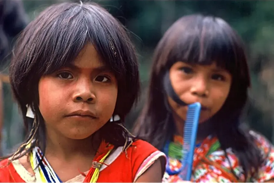 Children of the Amazon online