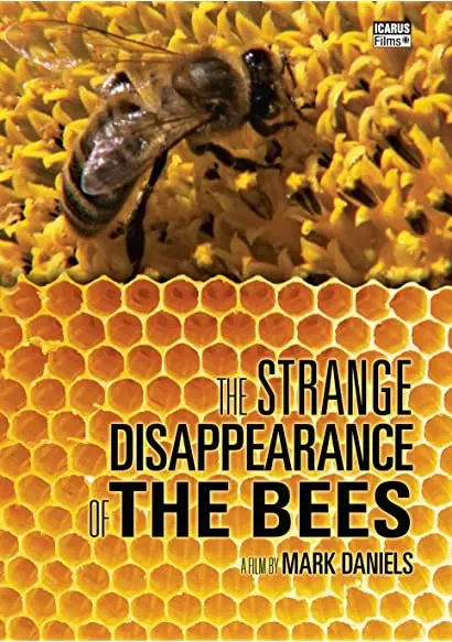 Le mystère de la disparition des abeilles
