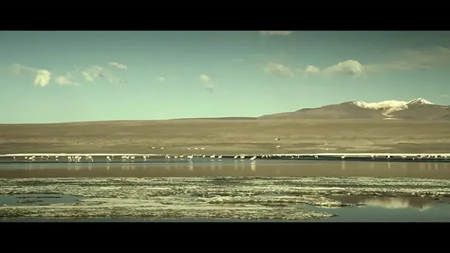 Darmowe filmy