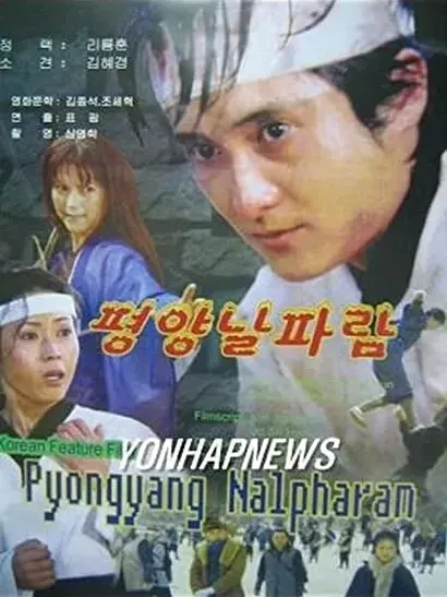 Pyongyang nalpharam
