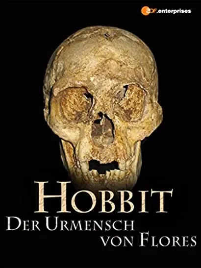 The Hobbit Enigma