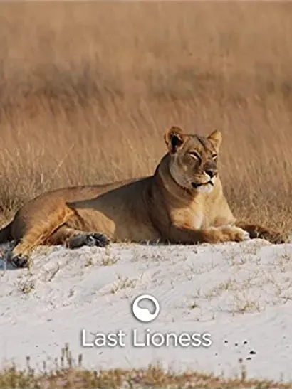 The Last Lioness