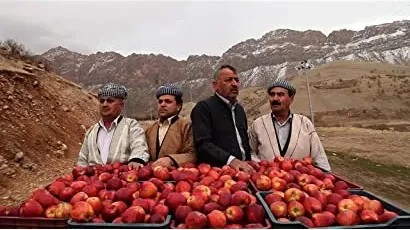 Hezar-o yek siv