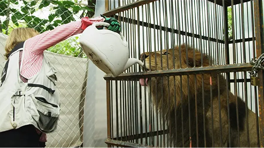 Lion Ark online