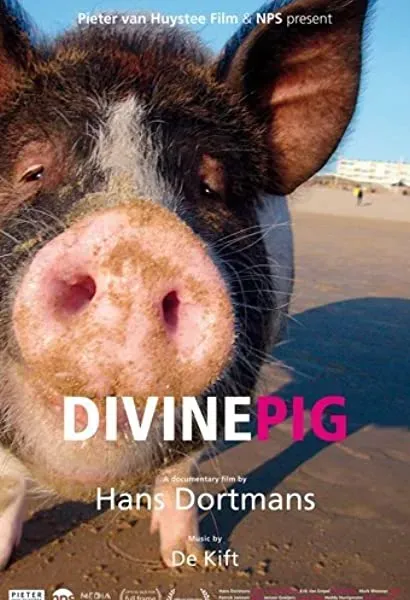 Divine Pig