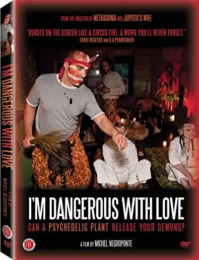 I'm Dangerous with Love