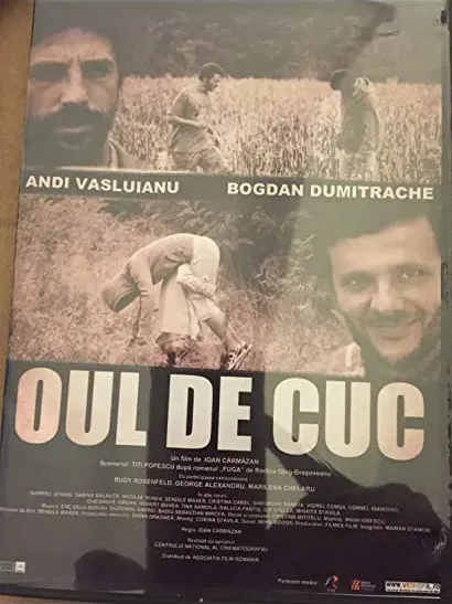 Oul de cuc