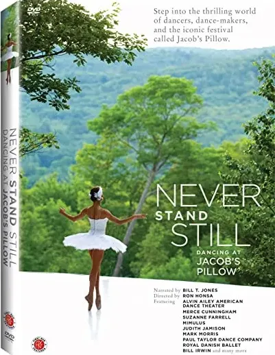 Never Stand Still