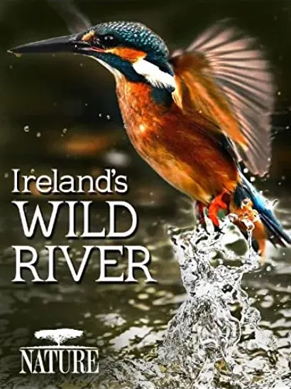 On a River in Ireland