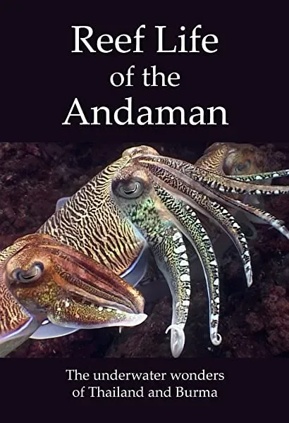 Reef Life of the Andaman