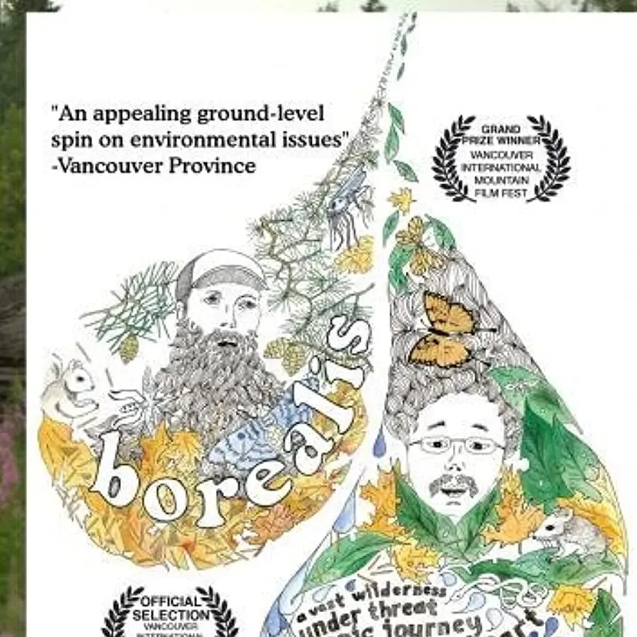 Borealis online
