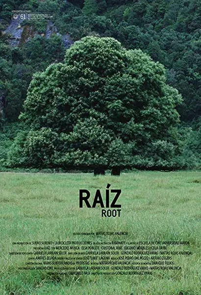 Raiz