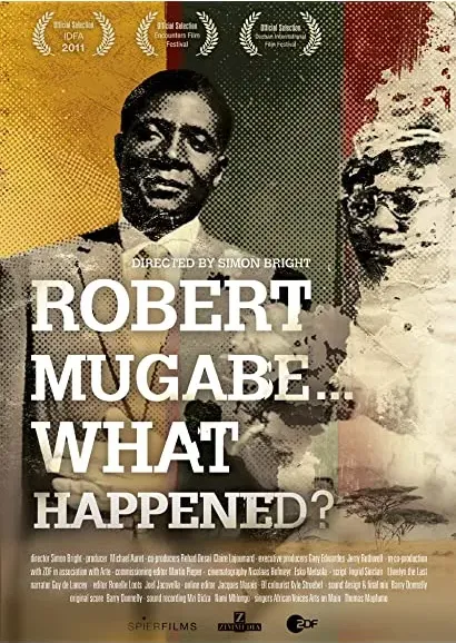 Robert Mugabe... What Happened?