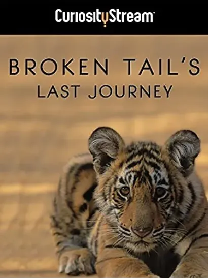 Broken Tail