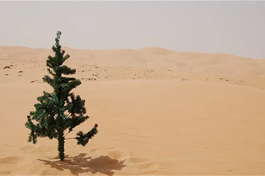 Weihnachten im Morgenland online