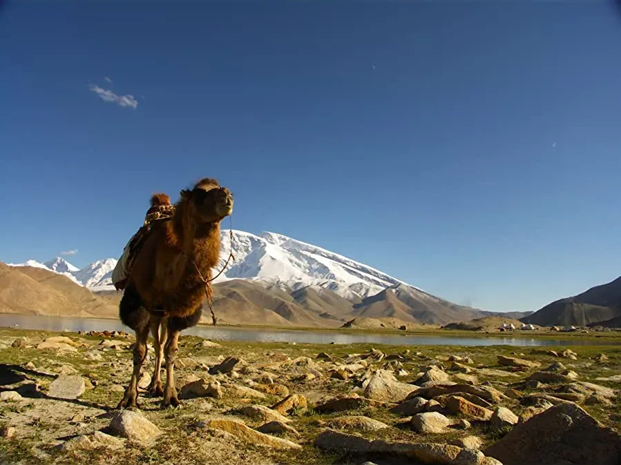 Nomad's Land - Sur les traces de Nicolas Bouvier online