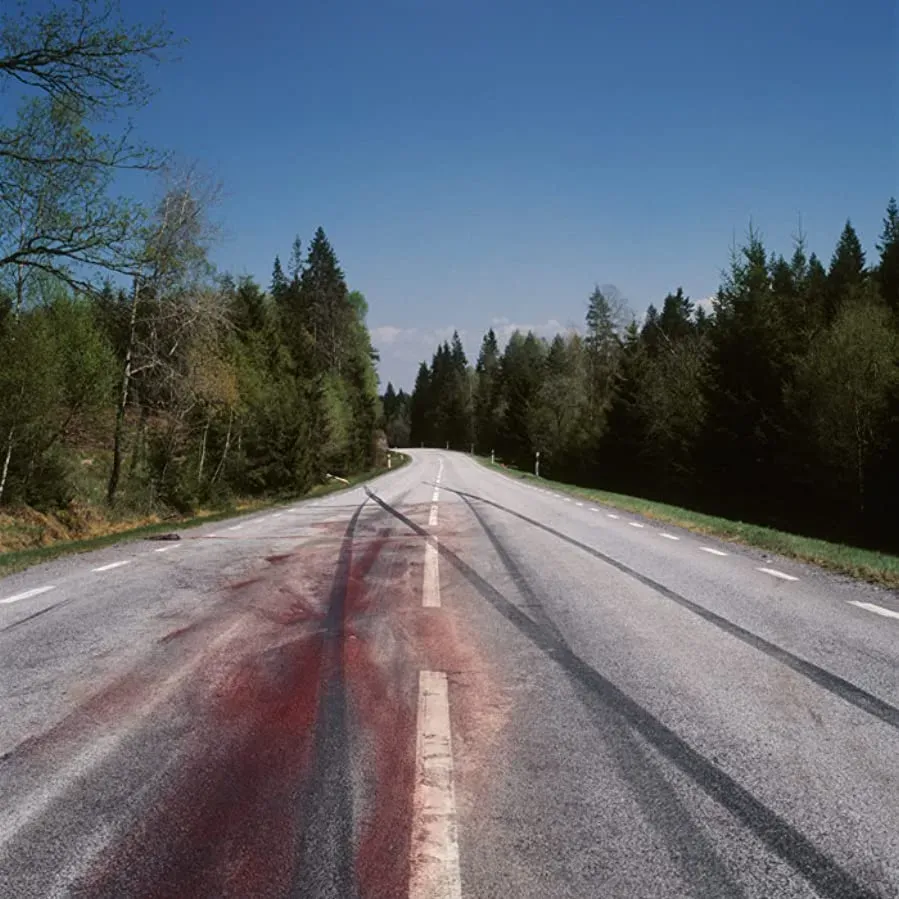 Hälsningar från skogen online
