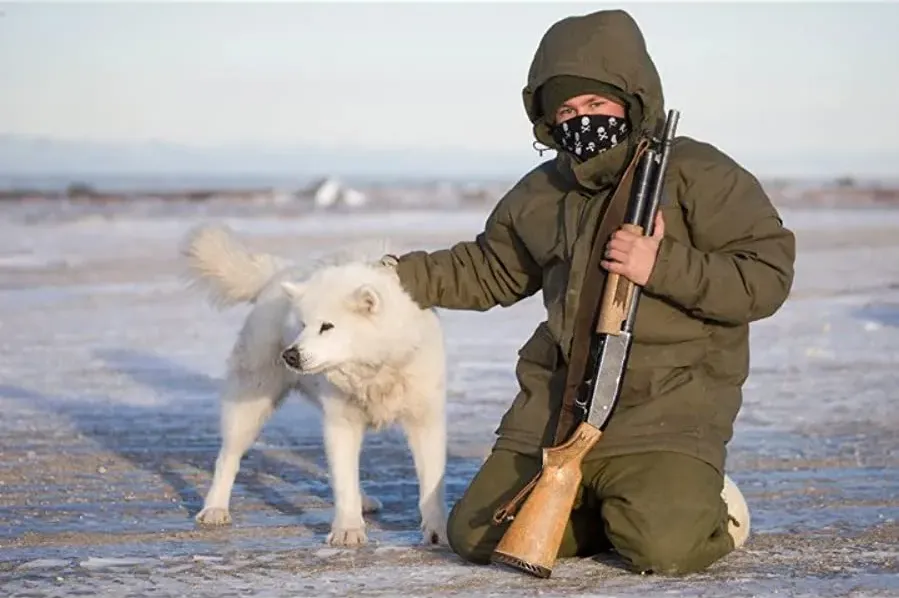 The Last Dogs of Winter online
