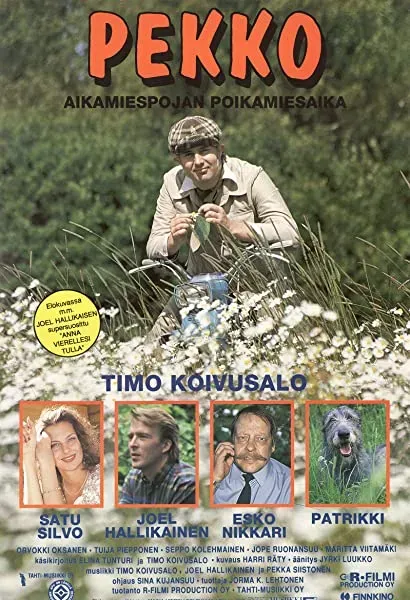 Pekko Aikamiespojan poikamiesaika