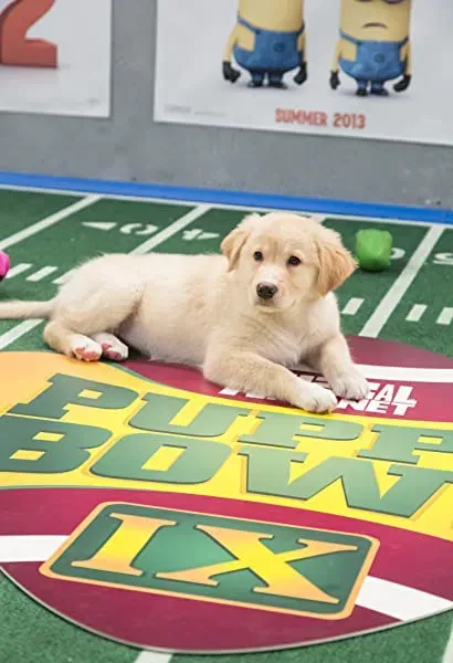 Puppy Bowl IX