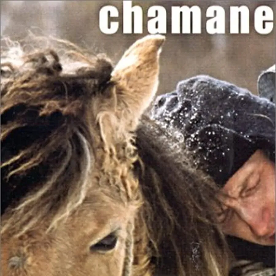 Darmowe filmy