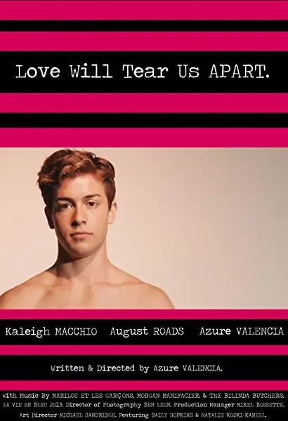 Love Will Tear Us Apart