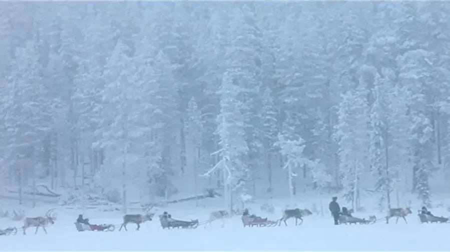 Aatsinki: The Story of Arctic Cowboys online