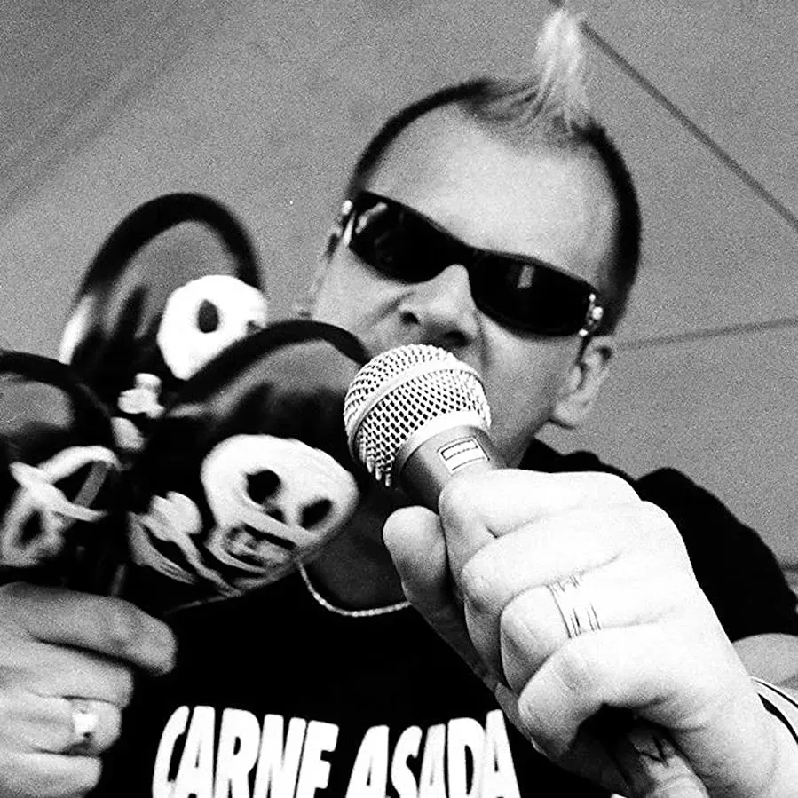 Punk Like Me online