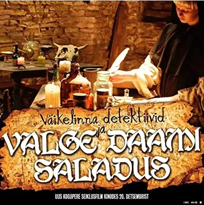 Väikelinna detektiivid ja valge daami saladus