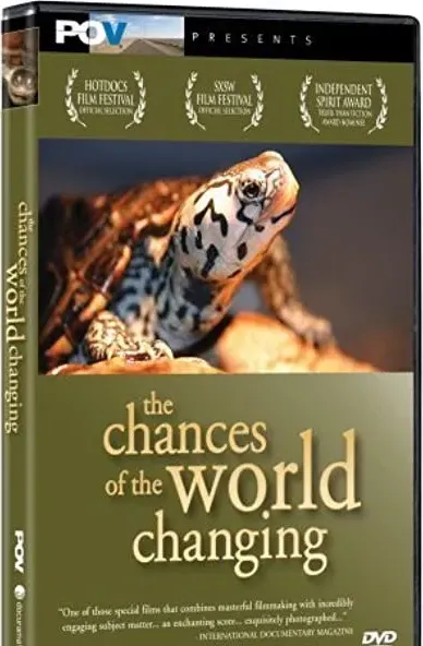 The Chances of the World Changing