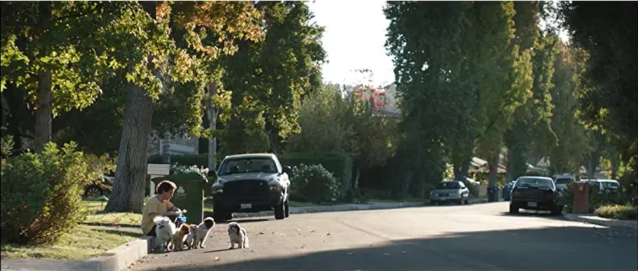 Four Dogs online