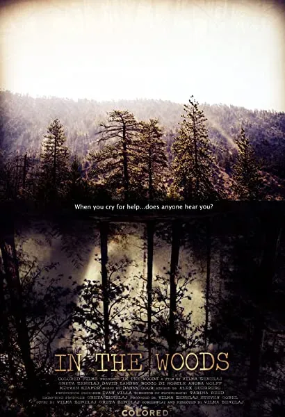 In the Woods