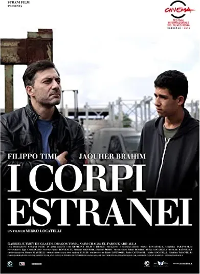 I corpi estranei