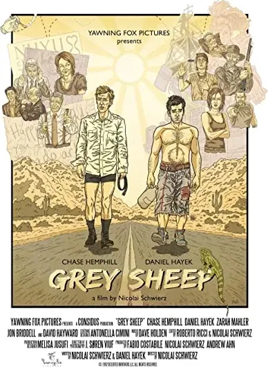 Grey Sheep