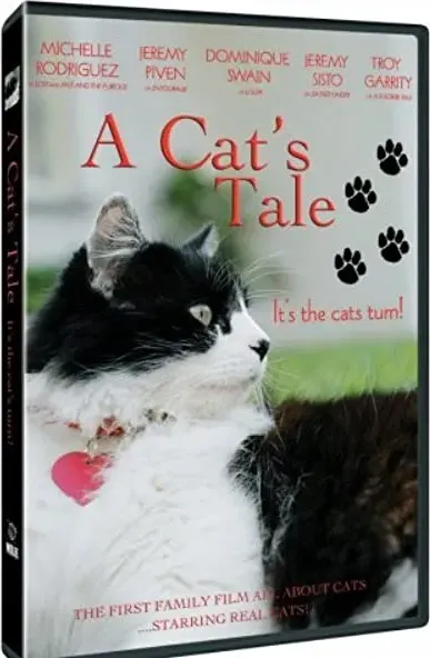 A Cat's Tale