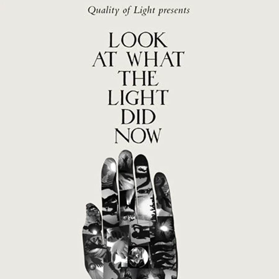 Look at What the Light Did Now online