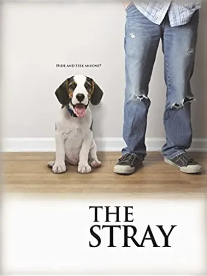 The Stray