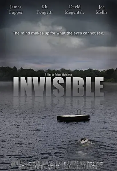 Invisible