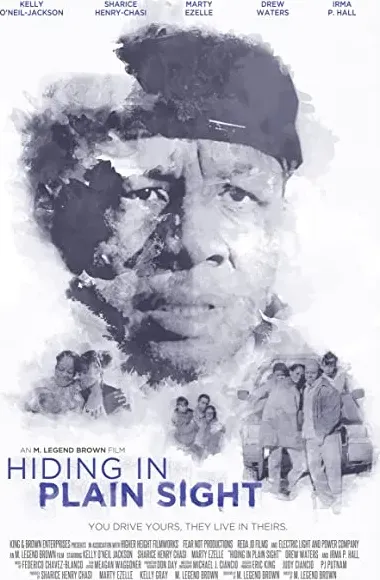 Hiding in Plain Sight