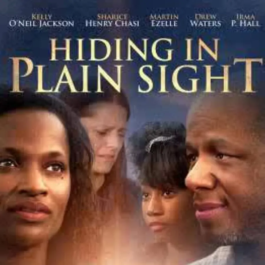 Hiding in Plain Sight online