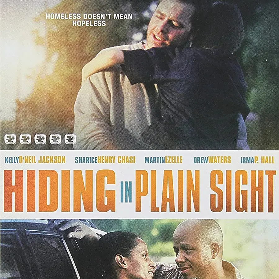 Hiding in Plain Sight online