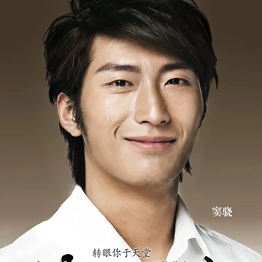 Qing Cheng Zhi Lei online