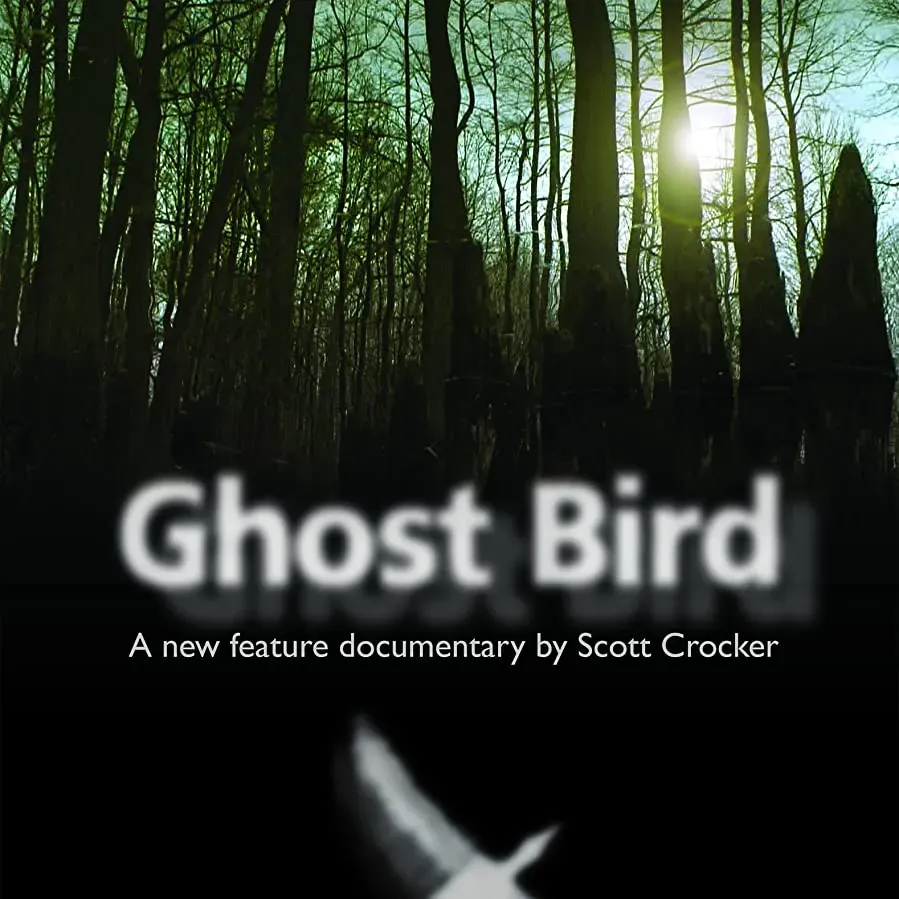 Ghost Bird online